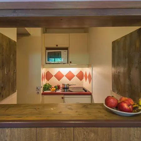 Avec Acces Aux Domaines Skiables Et Parking - Fr-1-517-13 Chamonix