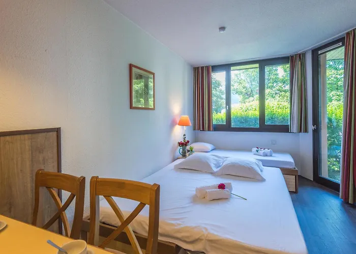 Avec Acces Aux Domaines Skiables Et Parking - Fr-1-517-13 Apartment Chamonix