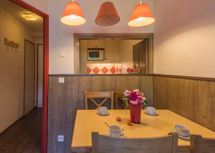 Apartment Avec Acces Aux Domaines Skiables Et Parking - Fr-1-517-13